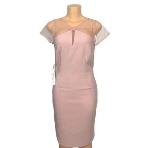 JS Collections Elegant Sheer Mesh Overlay Sheath‎ Dress Blush Cocktail Size 4
